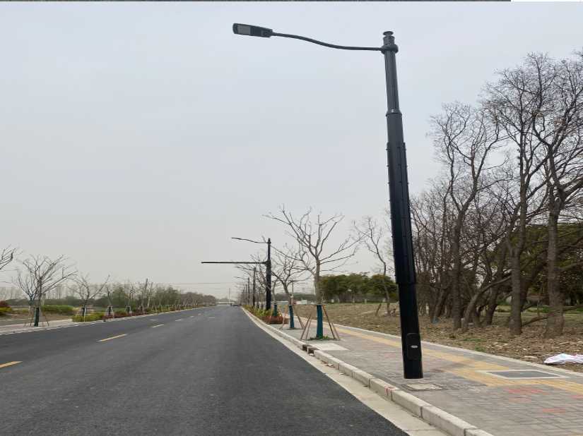 贺兰县上海综合杆 太阳能路灯工程